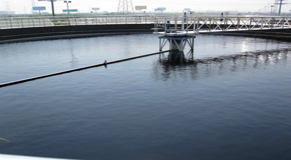 周边传动刮泥机 周边传动刮泥机