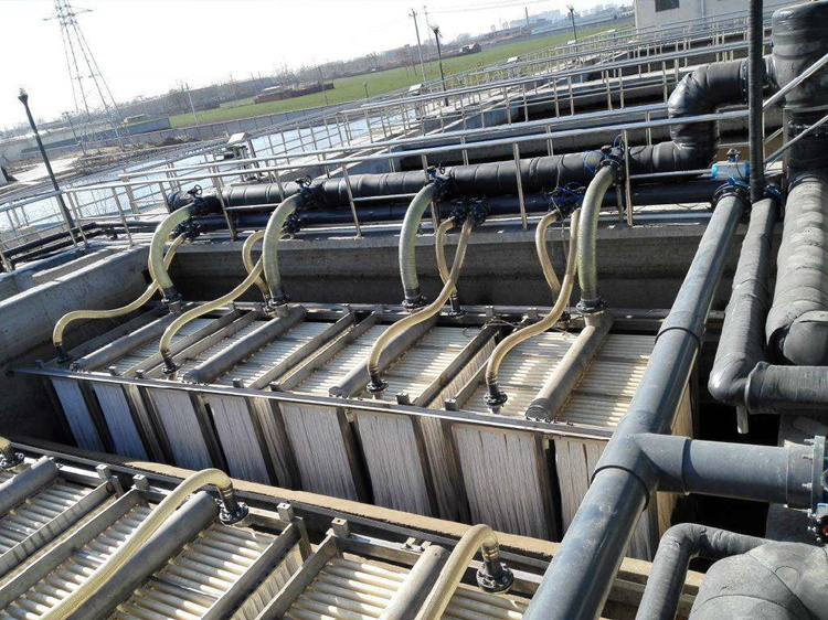 生物膜反应器 生物膜反应器