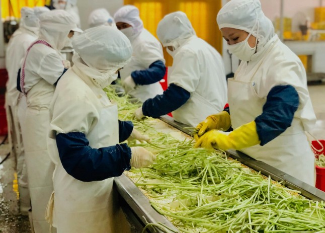 三种食品污水处理设备工艺流程，看看哪种适合您？