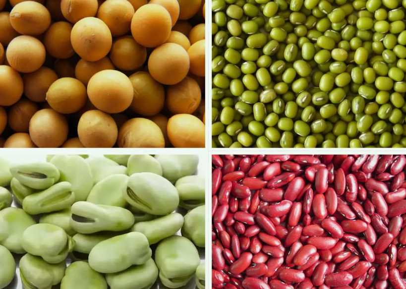 豆制品加工废水处理工艺流程|设备 豆制品加工废水处理工艺流程|设备