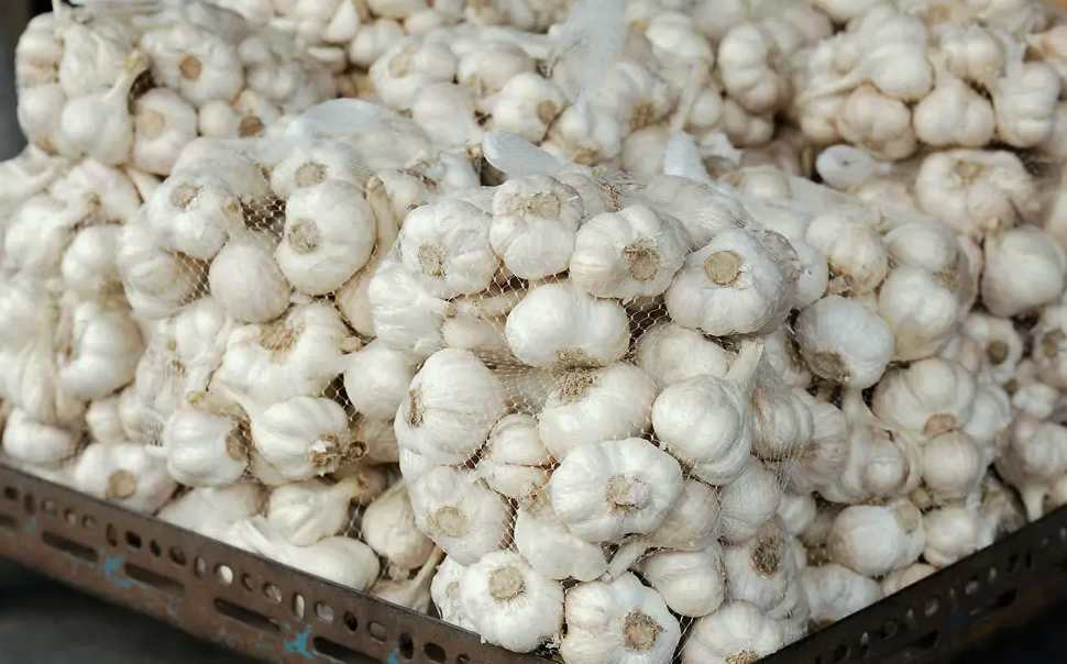 大蒜水|大蒜生产加工废水污水处理设备|工艺流程 大蒜水|大蒜生产加工废水污水处理设备|工艺流程