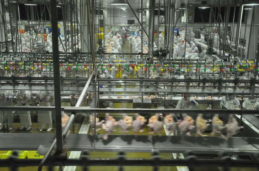 食品加工企业污水处理方案|方法|工艺流程 食品加工企业污水处理方案|方法|工艺流程